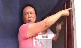 张大妈如何看最新爆料,揭秘最新爆料背后的真相