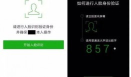 最新通行证爆料消息查询,揭秘未来出行新趋势与政策动向